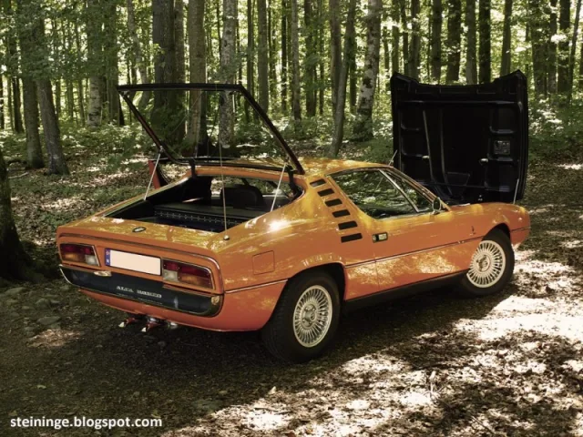 Alfa Romeo Montreal — Foto dell’auto reale 9