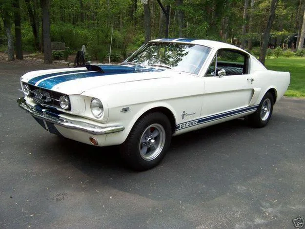 Ford Shelby 350 GT — Photos du véhicule réel 10
