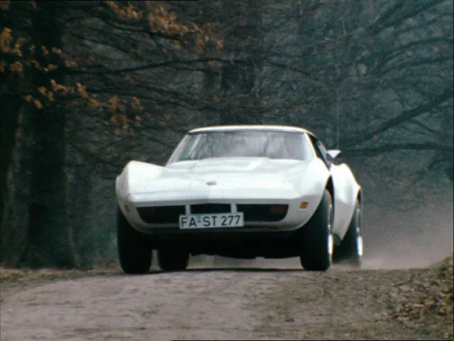 Chevrolet Corvette Stingray 1973 — Foto dell’auto reale 5